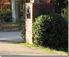 random neighborhood mailbox