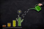 investment-concerns-and-opportunities
