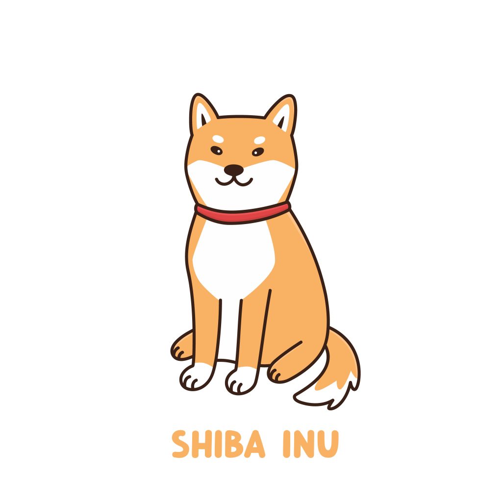 investing in shiba inu