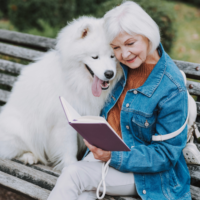 dog breeds for retirees