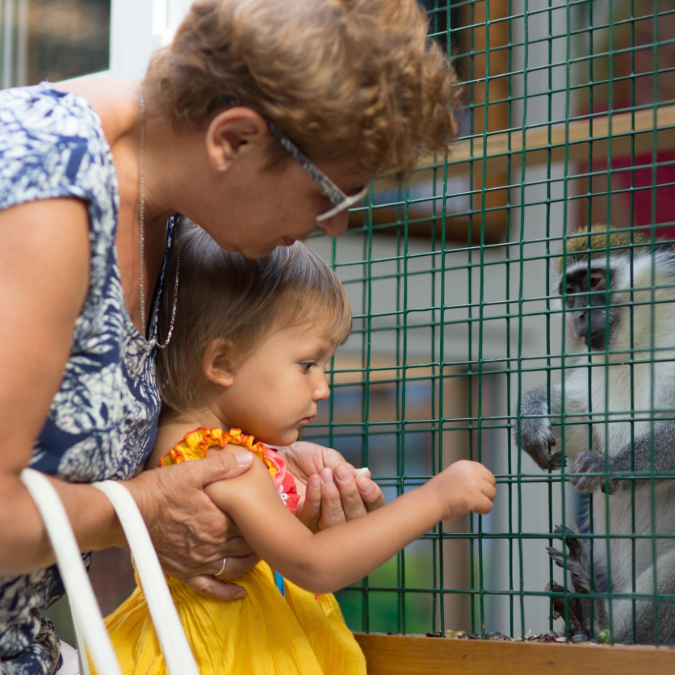 zoo grandkid