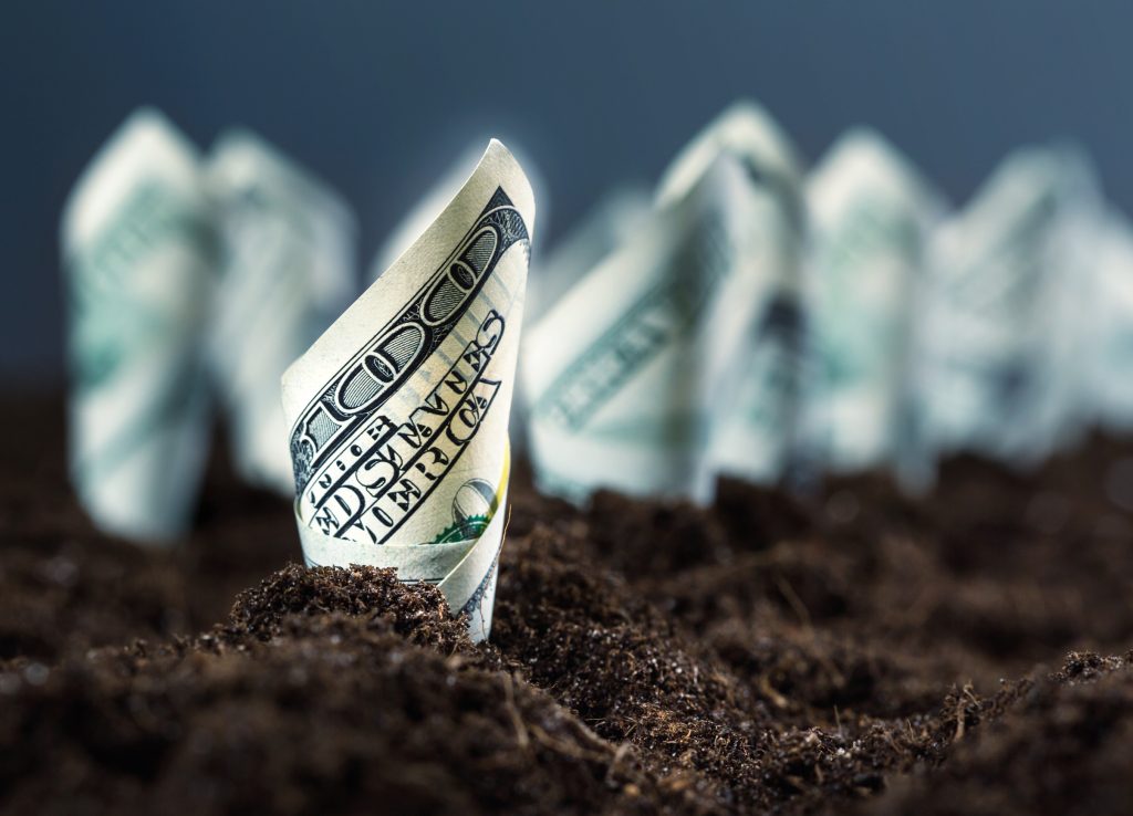 American dollars grow from the ground