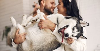 6 Financial Risks Nobody Tells You About Pet Ownership