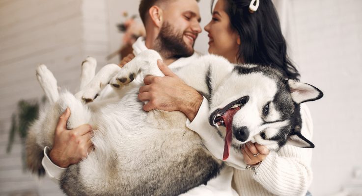6 Financial Risks Nobody Tells You About Pet Ownership