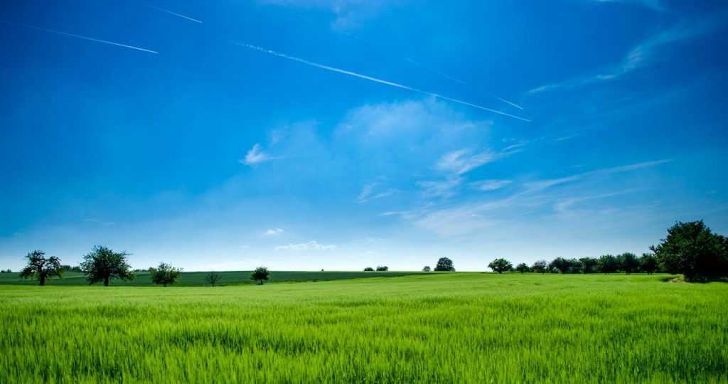 land